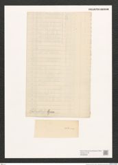 Navicula sp. (de-Toni-Nr.: Genus 1) Zeichnungen Sammlung Grunow (NHMW-BOT-W0368385)